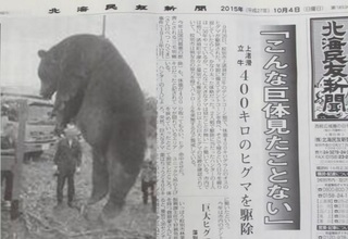 北海道熊2015.jpg
